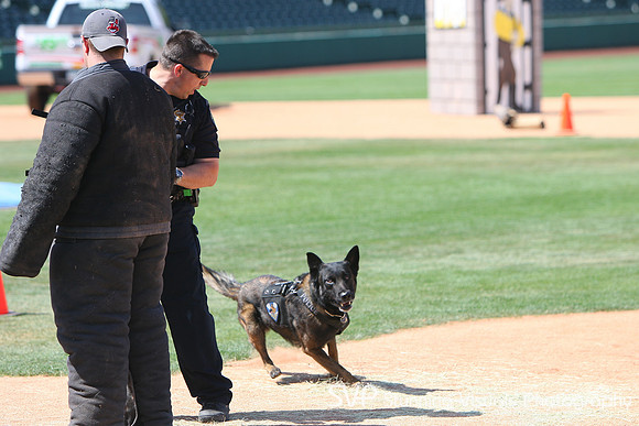 K9_4_18_2010 14