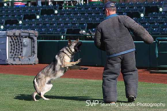 K9_4_18_2010 72
