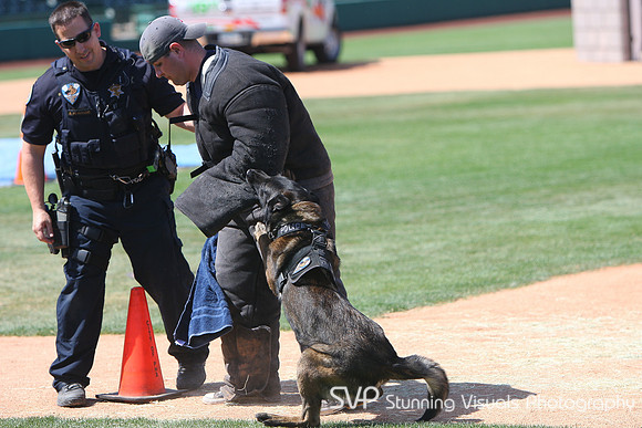K9_4_18_2010 16