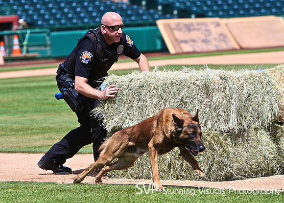 K9_misc 10