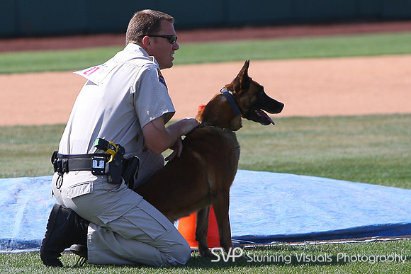 K9_4_18_2010 33