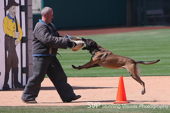 K9_4_18_2010 24