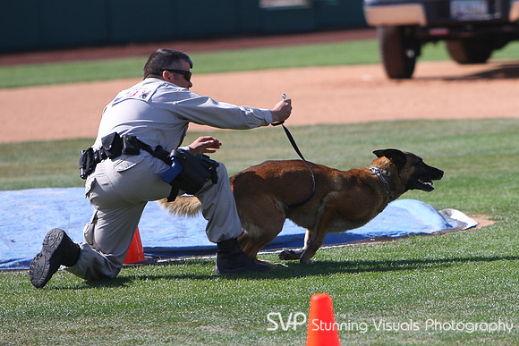 K9_4_18_2010 58
