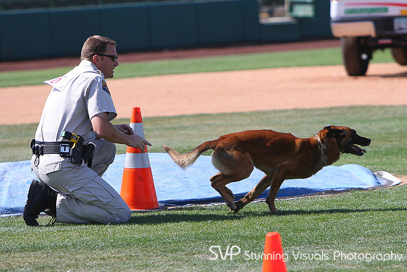 K9_4_18_2010 34