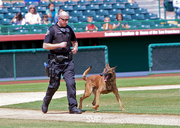 K9_misc 9