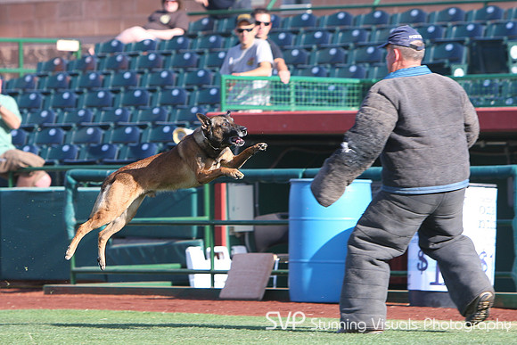 K9_4_18_2010 85