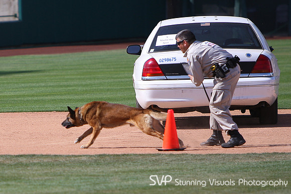 K9_4_18_2010 59