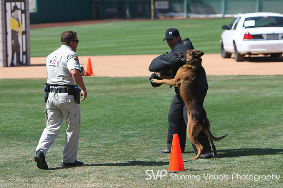 K9_4_18_2010 26