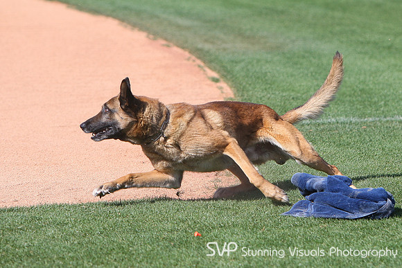 K9_4_18_2010 55