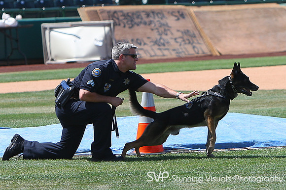 K9_4_18_2010 7