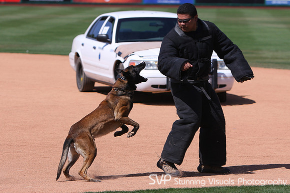 K9_4_18_2010 22