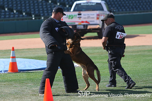 K9_4_18_2010 62