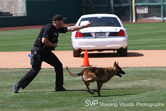 K9_4_18_2010 13