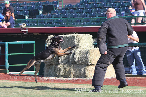 K9_4_18_2010 74