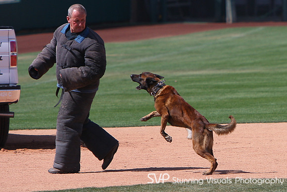 K9_4_18_2010 19