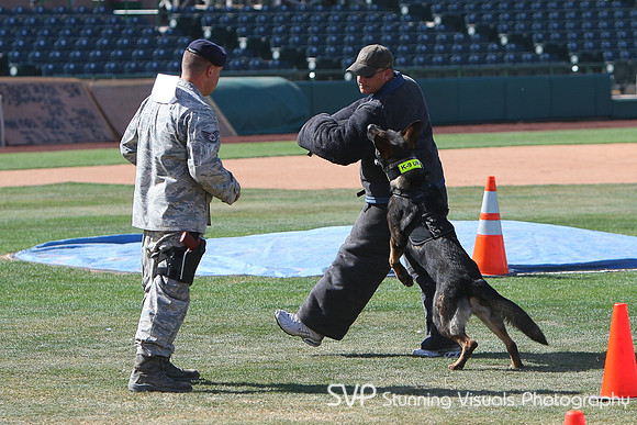 K9_4_18_2010 50