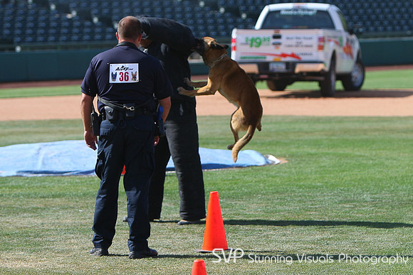 K9_4_18_2010 67