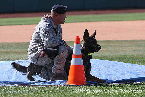 K9_4_18_2010 51