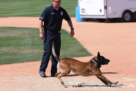 K9_4_18_2010 21