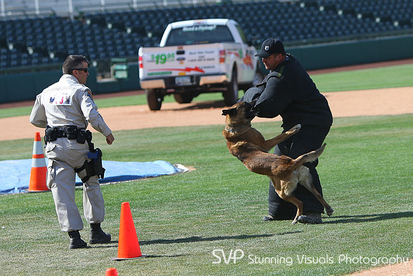 K9_4_18_2010 56