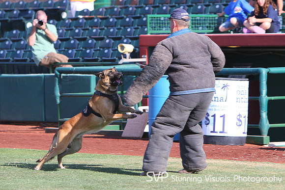 K9_4_18_2010 75