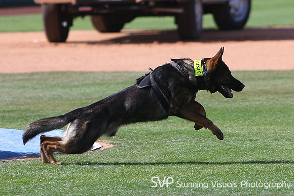 K9_4_18_2010 52