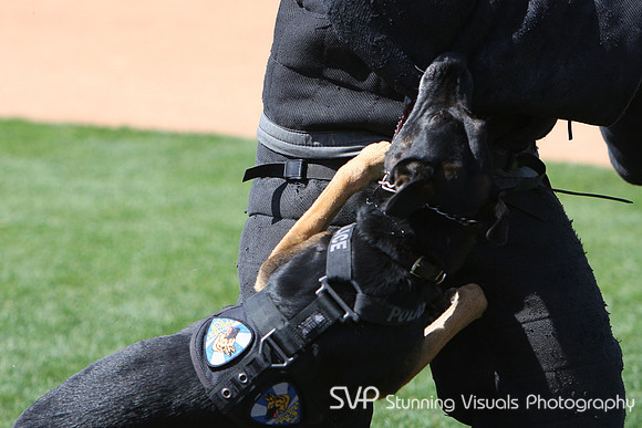 K9_4_18_2010 5