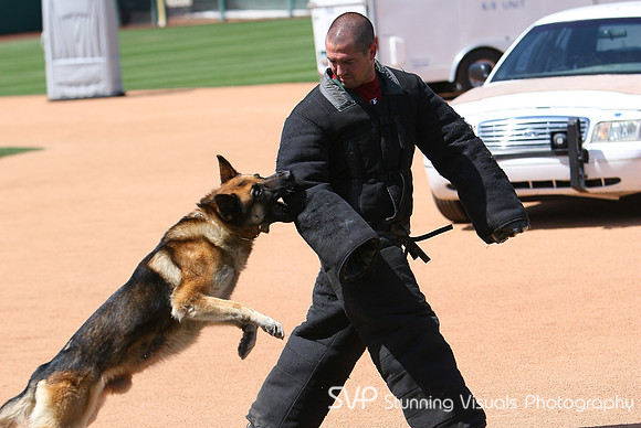 K9_4_18_2010 8
