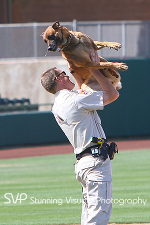 K9_4_18_2010 37