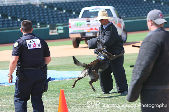 K9_4_18_2010 17
