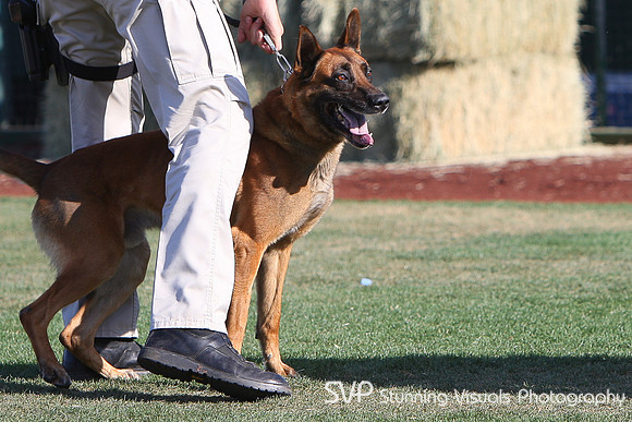 K9_4_18_2010 81