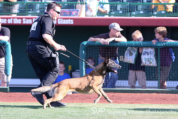 K9_4_18_2010 82
