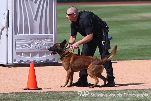 K9_4_18_2010 18