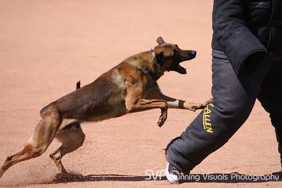 K9_4_18_2010 11
