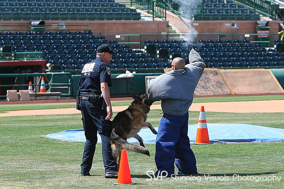 K9_4_18_2010 9