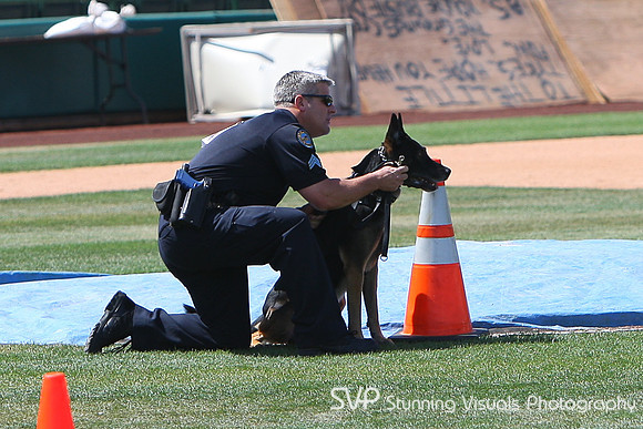 K9_4_18_2010 6