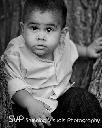 20101120-HomeLayout-169-Edit