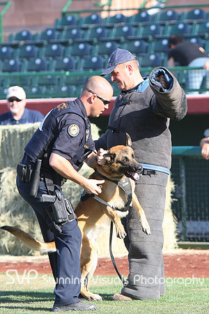 K9_4_18_2010 77