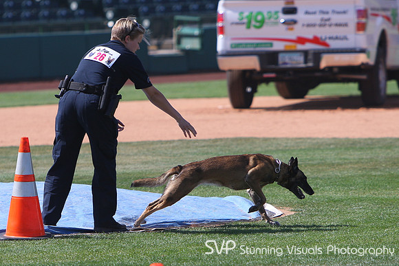 K9_4_18_2010 28