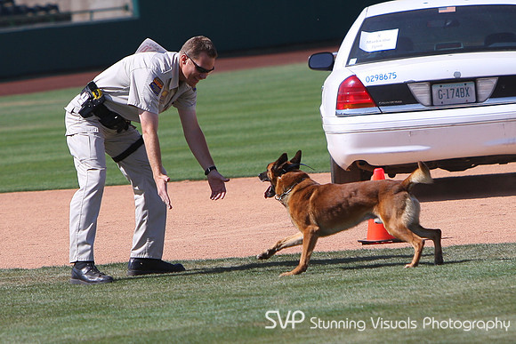 K9_4_18_2010 35