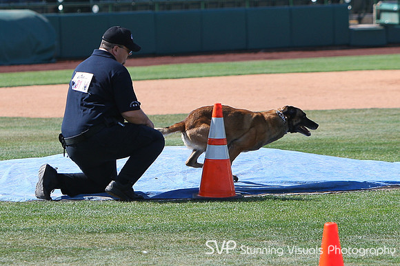 K9_4_18_2010 47