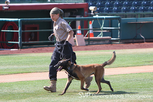 K9_4_18_2010 44