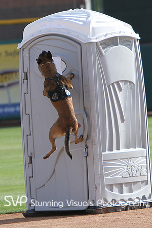 K9_4_18_2010 2