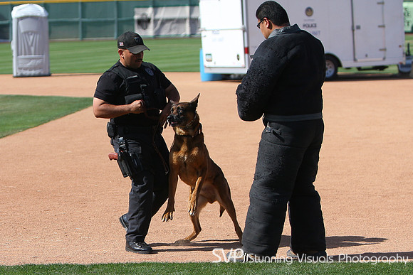 K9_4_18_2010 61