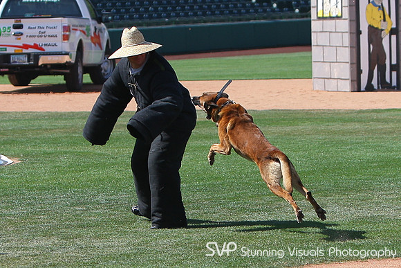 K9_4_18_2010 31
