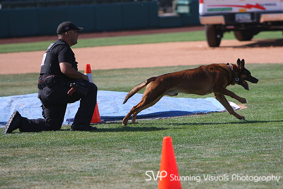 K9_4_18_2010 64