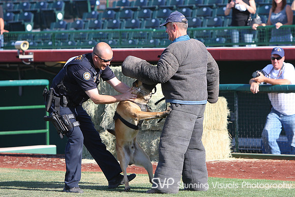 K9_4_18_2010 76