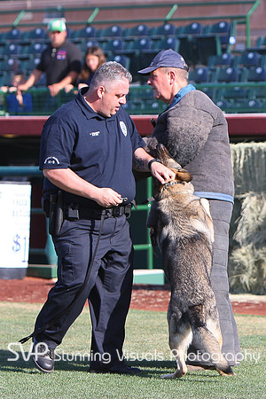 K9_4_18_2010 73