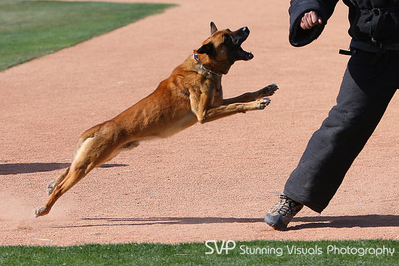 K9_4_18_2010 66