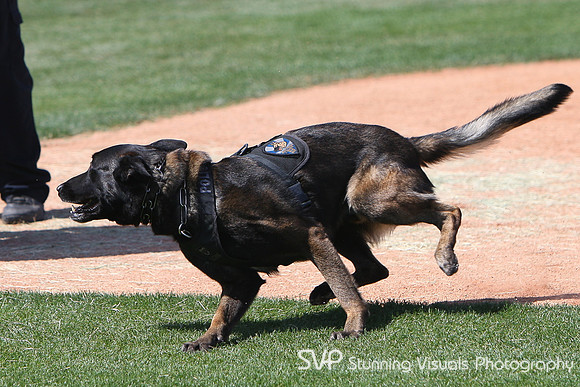 K9_4_18_2010 15